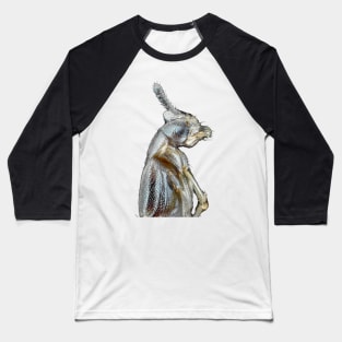 Rove beetle under the microscope Baseball T-Shirt